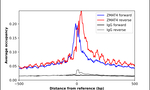 ZMAT4 Antibody in ChIP Assay (ChIP)