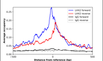 LHX2 Antibody in ChIP Assay (ChIP)