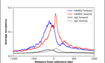 HAND2 Antibody in ChIP Assay (ChIP)