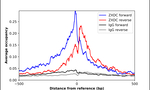ZXDC Antibody in ChIP Assay (ChIP)
