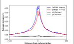 ZNF789 Antibody in ChIP Assay (ChIP)