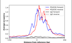 POLR3G Antibody in ChIP Assay (ChIP)