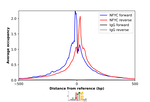 NFYC Antibody in ChIP Assay (ChIP)