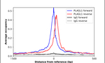PLAGL1 Antibody in ChIP Assay (ChIP)