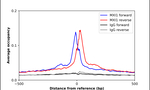 MXI1 Antibody in ChIP Assay (ChIP)