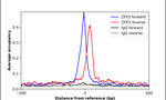 ZFP3 Antibody in ChIP Assay (ChIP)