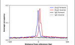 DCP2 Antibody in ChIP Assay (ChIP)