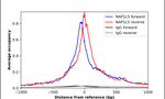 NAP1L5 Antibody in ChIP Assay (ChIP)