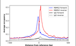 RBMS2 Antibody in ChIP Assay (ChIP)