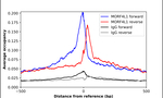 MRG15 Antibody in ChIP Assay (ChIP)