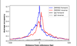 ZNF692 Antibody in ChIP Assay (ChIP)