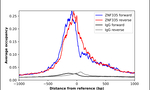 ZNF335 Antibody in ChIP Assay (ChIP)