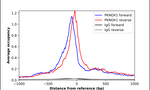 PKNOX1 Antibody in ChIP Assay (ChIP)