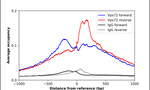 VPS72 Antibody in ChIP Assay (ChIP)