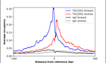 TSC22D1 Antibody in ChIP Assay (ChIP)
