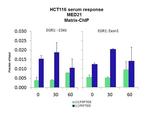 MED21 Antibody in ChIP Assay (CHIP)