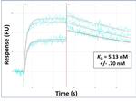 TM6SF2 Antibody in Surface plasmon resonance (SPR)