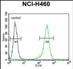 CD2BP2 Antibody in Flow Cytometry (Flow)