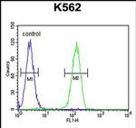 LARS2 Antibody in Flow Cytometry (Flow)