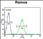 HIP1R Antibody in Flow Cytometry (Flow)
