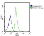 FGL2 Antibody in Flow Cytometry (Flow)