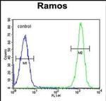 ETFA Antibody in Flow Cytometry (Flow)