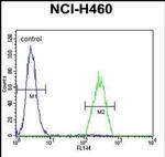 B3GALT5 Antibody in Flow Cytometry (Flow)