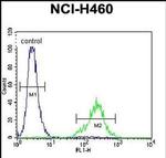 C12orf29 Antibody in Flow Cytometry (Flow)