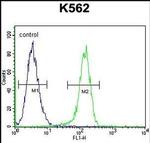 MYO19 Antibody in Flow Cytometry (Flow)