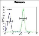 TTC9C Antibody in Flow Cytometry (Flow)