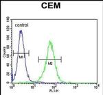 NXPH4 Antibody in Flow Cytometry (Flow)
