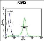 AHCY Antibody in Flow Cytometry (Flow)