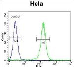 LARS Antibody in Flow Cytometry (Flow)