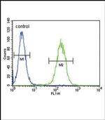 CYP11B2 Antibody in Flow Cytometry (Flow)