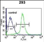 Epigen Antibody in Flow Cytometry (Flow)