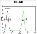 OR2W3 Antibody in Flow Cytometry (Flow)