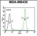 ALKBH6 Antibody in Flow Cytometry (Flow)