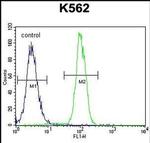 ZNF619 Antibody in Flow Cytometry (Flow)