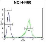 TSNARE1 Antibody in Flow Cytometry (Flow)
