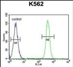 MOGAT1 Antibody in Flow Cytometry (Flow)