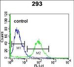 OR4F15 Antibody in Flow Cytometry (Flow)