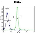 LRIT1 Antibody in Flow Cytometry (Flow)