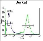 ZNF648 Antibody in Flow Cytometry (Flow)