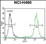ZSCAN5B Antibody in Flow Cytometry (Flow)