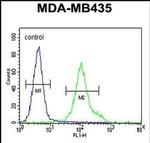 ZNF605 Antibody in Flow Cytometry (Flow)