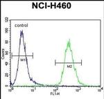 ZNF433 Antibody in Flow Cytometry (Flow)