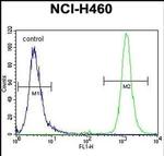 RASSF8 Antibody in Flow Cytometry (Flow)