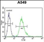SCEL Antibody in Flow Cytometry (Flow)