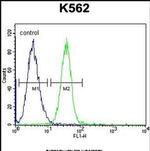 SERPINB4 Antibody in Flow Cytometry (Flow)