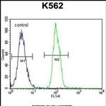 SFRP4 Antibody in Flow Cytometry (Flow)